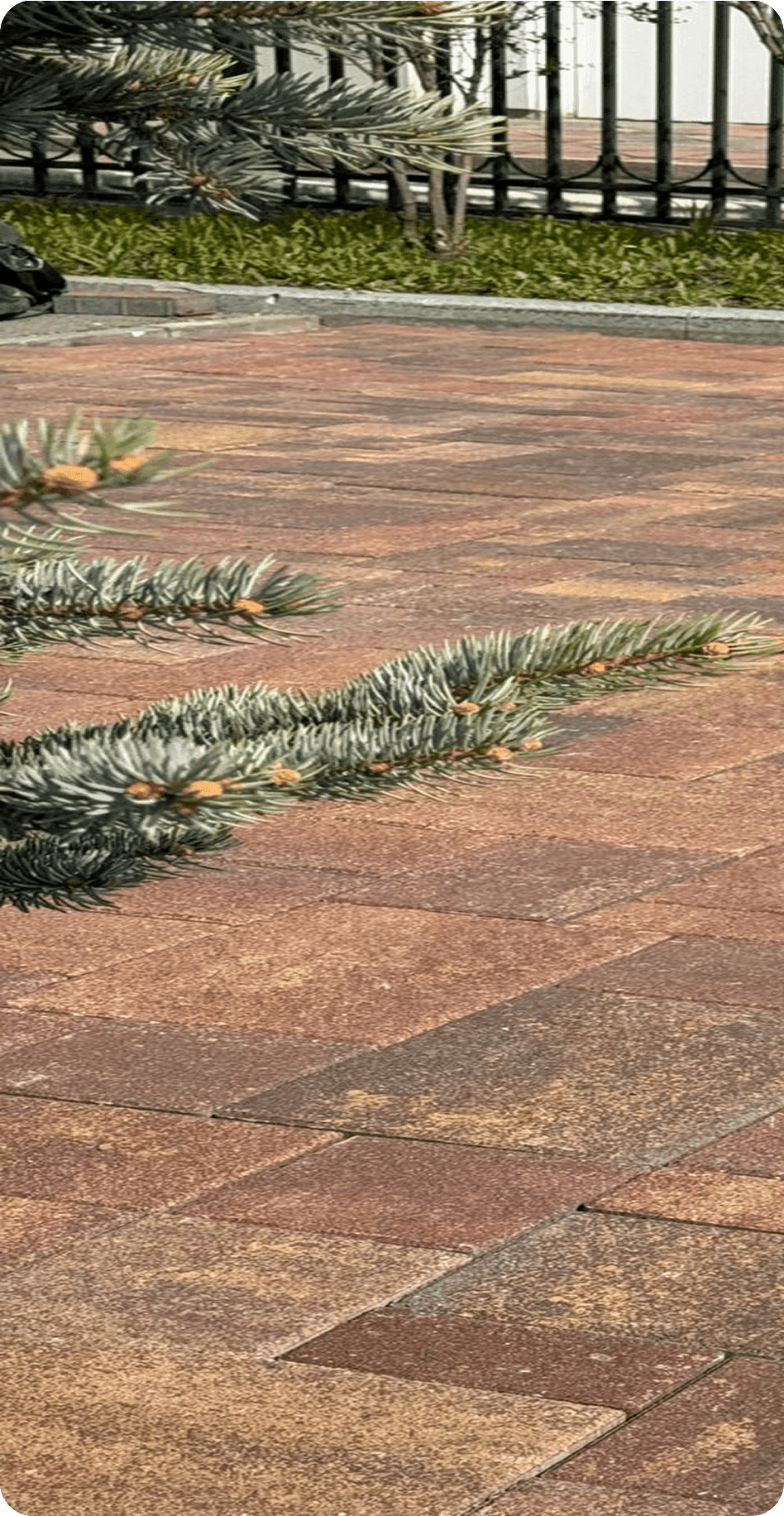 No alternative text provided