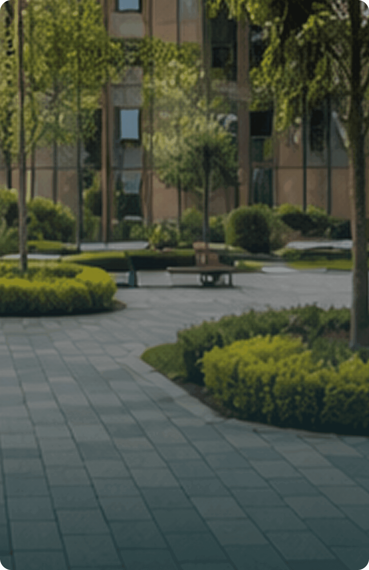 No alternative text provided