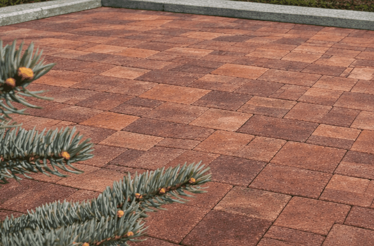 No alternative text provided