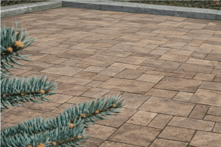 No alternative text provided